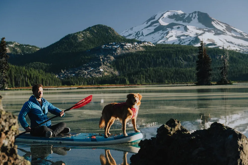 Camping with Dogs: Everything You Need to Plan Your Next Trip